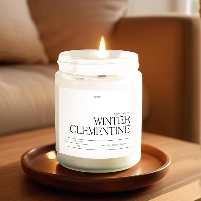 Winter Clementine Scented Candles for Home, 9oz Natural Soy Wax Aromatherapy Organic Citrus Candle for Stress Relief, Long Burning & Lasting Jar Candle Gifts for Christmas, Winter, Holiday