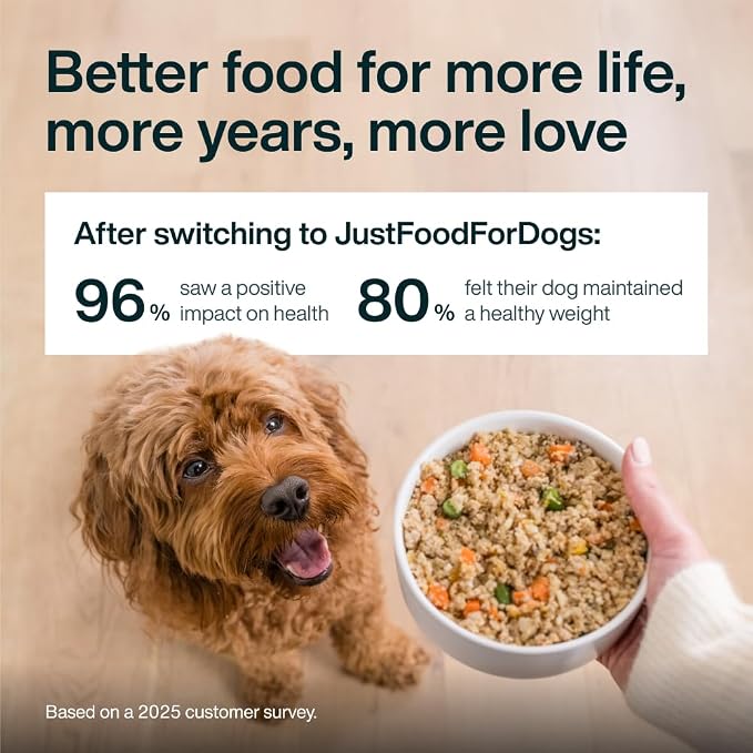 JustFoodForDogs Pantry Fresh Wet Dog Food, Complete Meal or Dog Food Topper, Beef & Potato Human Grade Dog Food Recipe - 12.5 oz (Pack of 12) | Fresh Pet Meal or Fresh Dog Food Topper, Human Grade Recipe Made With Whole Foods, Preservative-Free, 12.5 O...