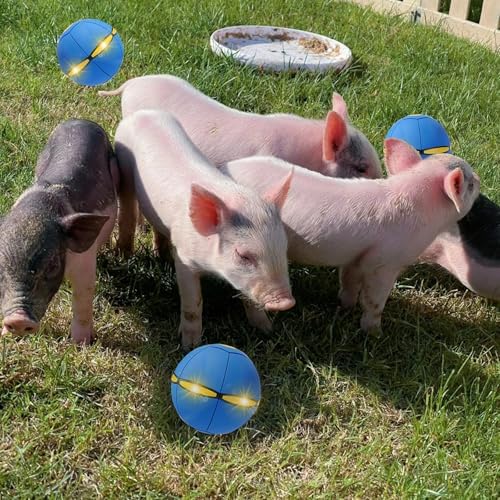 Pig Toy - Toy for Pigs, Interactive Pig Flying Saucer Disc Ball Toys with 6 Lights for Mini Pigs, Enrichment Play for Pet Pigs Supplies Enjoyment and Fun