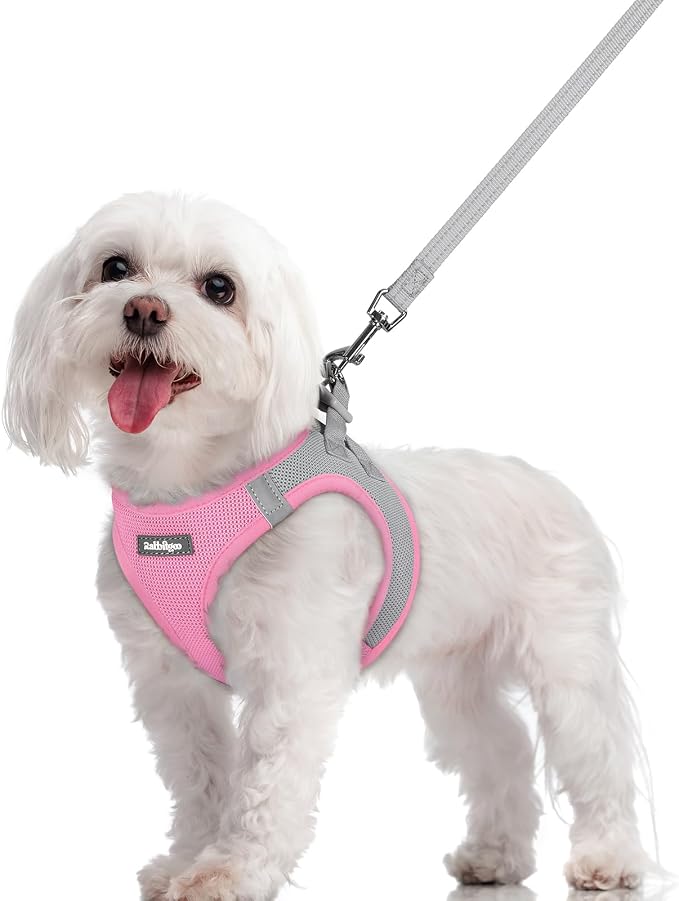 rabbitgoo Dog Harness Small Sized and Leash Set, Step-in Puppy Pet Vest | Light, Soft, Breathable Air Mesh, Easy on and Remove with Hook & Loop, Secure Reflective for Walking, Light Pink & Gray M