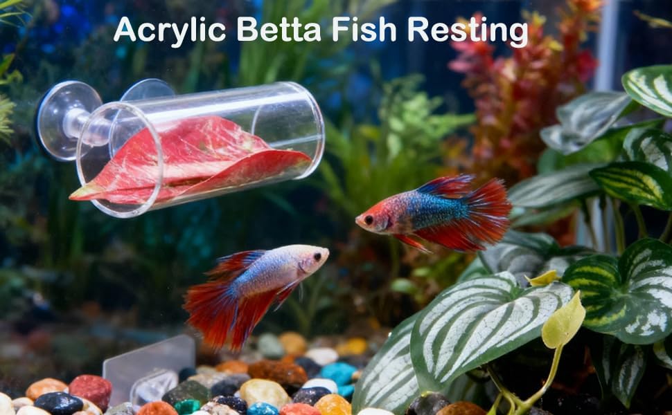 10pcs Betta Fish Tank Accessories Set Betta Hoop Heart Shape Enrichment Rings Hammock Hideout, Floating Mirror, Resting Spot, 2 Floating Balls, and Hideout Tunnel