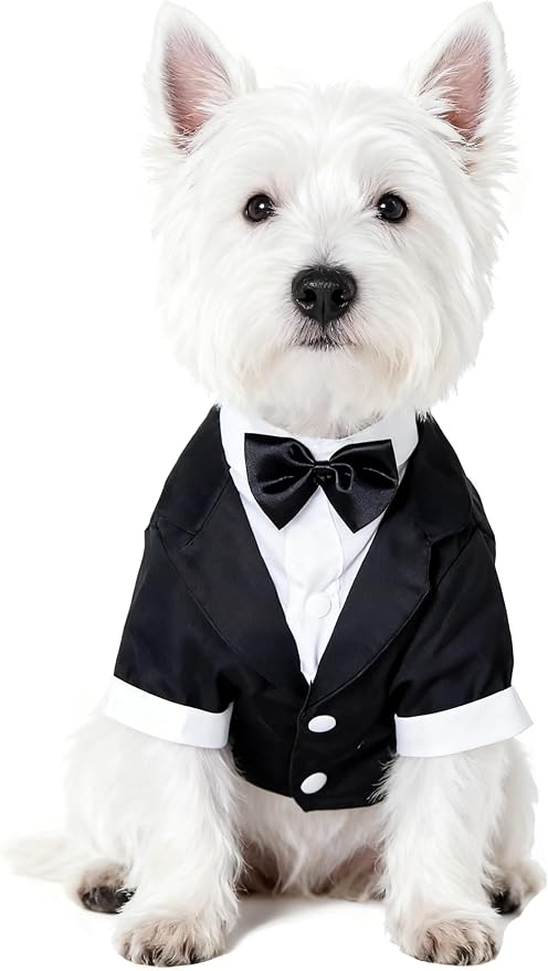 GabeFish Pets Wedding Jackets Suit for Dogs with Bow Tie Puppy Cat Formal Clothes Shirt Tuxedo (Black, L (Chest 17.3in/44cm)