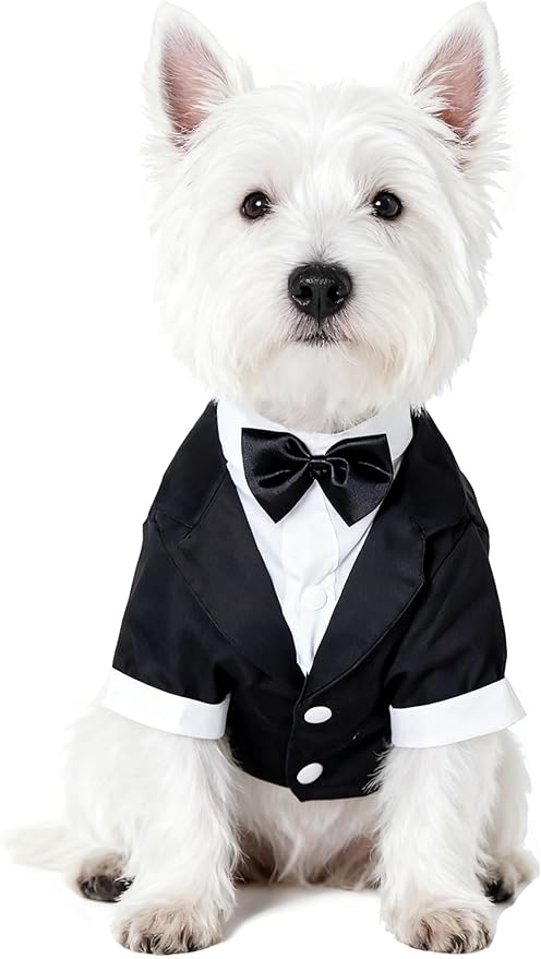 GabeFish Pets Wedding Jackets Suit for Dogs with Bow Tie Puppy Cat Formal Clothes Shirt Tuxedo (Black, S (Chest 12.9in/33cm)