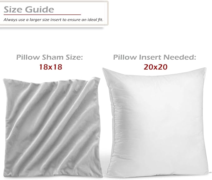 Throw Pillow Inserts Pack of 2 with Velvet Soft Solid Decorative Square Throw Pillow Covers Set for Sofa Couch Car Bedroom, 20X20 Throw Pillows Inserts with 18x18 Washable Cushion Covers, Light Gray
