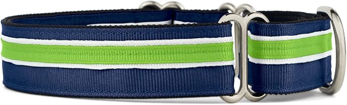 If It Barks 1" Martingale Collar for Dogs, Adjustable Nylon, USA Made, Large, Finley