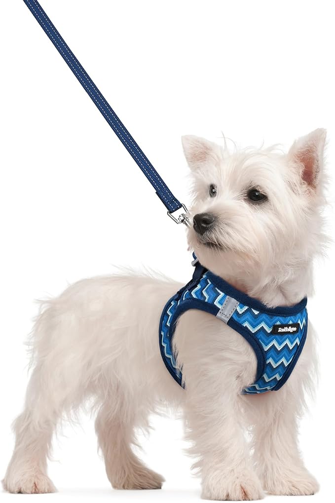 rabbitgoo Dog Harness Small Sized and Leash Set, Step-in Puppy Pet Vest | Light, Soft, Breathable Air Mesh, Easy on and Remove with Hook & Loop, Secure Reflective for Walking, Blue Zigzag S