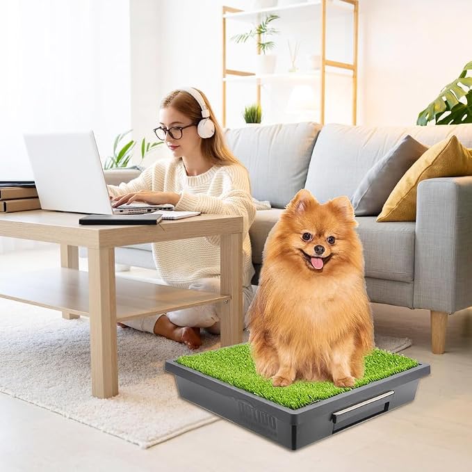 LUVCOSY 10 Disposable Potty Trays for PetSafe Portable Dog Potty, Sponge-Absorbent, Cornstarch-Based, Perfect for Urine Collection & Disposal (Pet Loo Not Included)