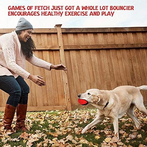 RHL Dog Squeaky Toys for Aggressive chewers Large Breed Balls Interactive Ball Toy Almost Indestructible Tough Durable Stick Medium Small Dogs Puppy Chew with Non-Toxic Natural Rubber