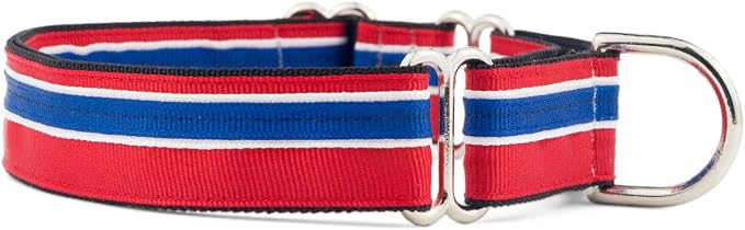 If It Barks 1" Martingale Collar for Dogs, Adjustable Nylon, USA Made, Medium, Patriotic