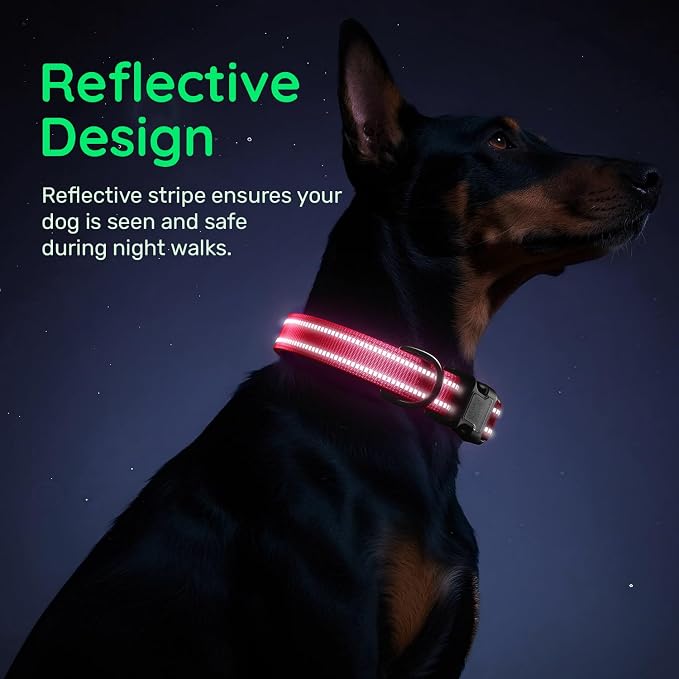 Dog Collar for Large Dogs with Smart QR Tags