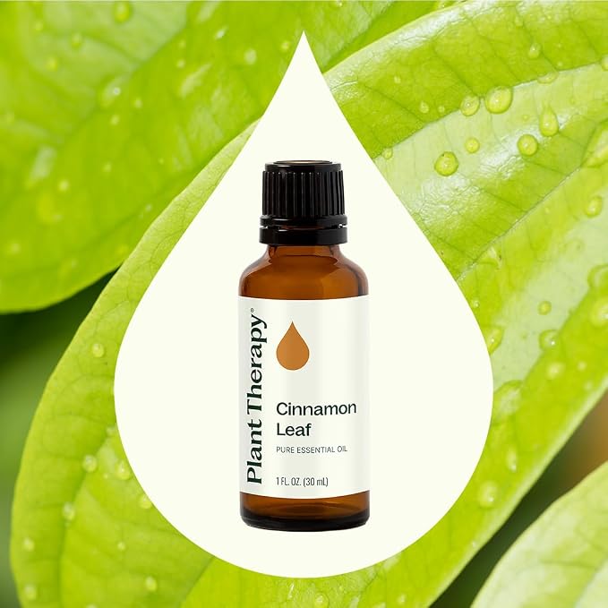 Plant Therapy Cinnamon Leaf Essential Oil 30 mL (1 oz) 100% Pure, Undiluted, Therapeutic Grade