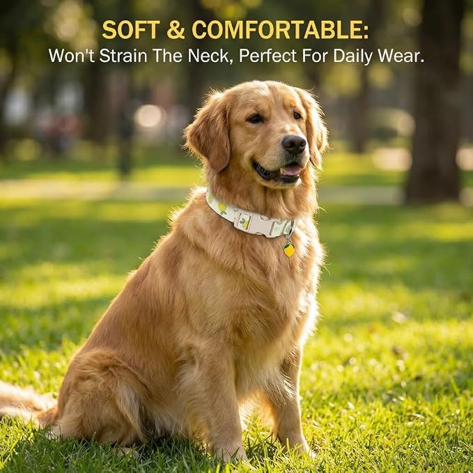 Dog Collar, Spring Summer Dog Collar with Yellow Lemon and Cute Charm, Pet Collar with Quick Release Buckle and Durable Fabric, Suitable for Medium Dogs