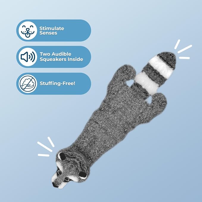 Best Pet Supplies 2-in-1 Stuffless Squeaky Dog Toy - Raccoon, Medium | No-Stuffing, 2 built-in squeakers, No Mess, Soft, Holds a Plastic Bottle for Added play, Perfect for Moderate chewers