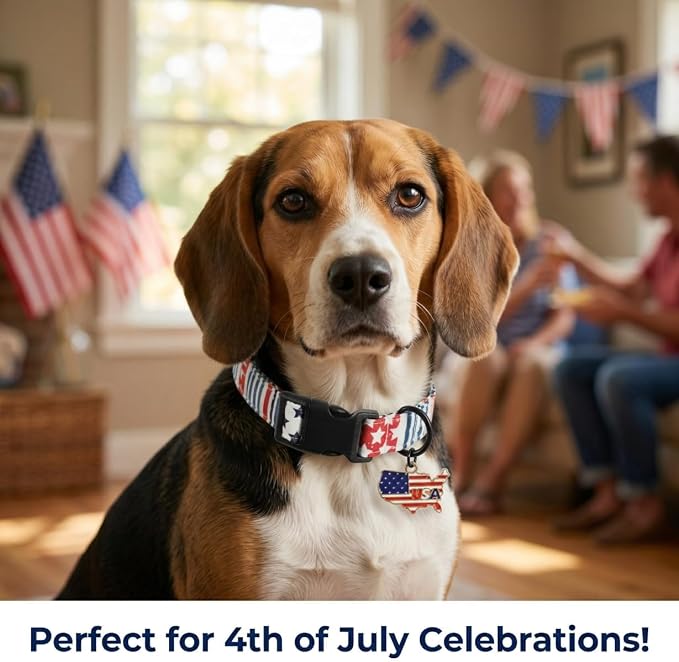 Boy Dog Collar, American Flag Dog Collar for Boys Dog, Adjustable Puppy Collar with Map Charm for 4th of July Occasion & Daily Walking, Fits Puppies and Small Breeds