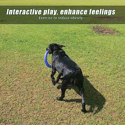 Blue Indestructible Dog Toys for Aggressive Chewers Flying Discs for Medium/Large Breeds Dog Training Ring,