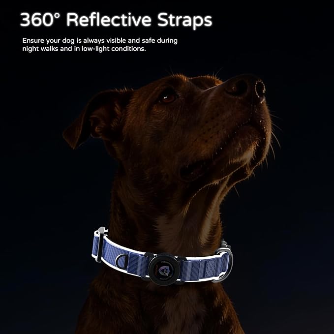 Leather AirTag Dog Collar, Magnetic Buckle, Reflective, C-Blue M