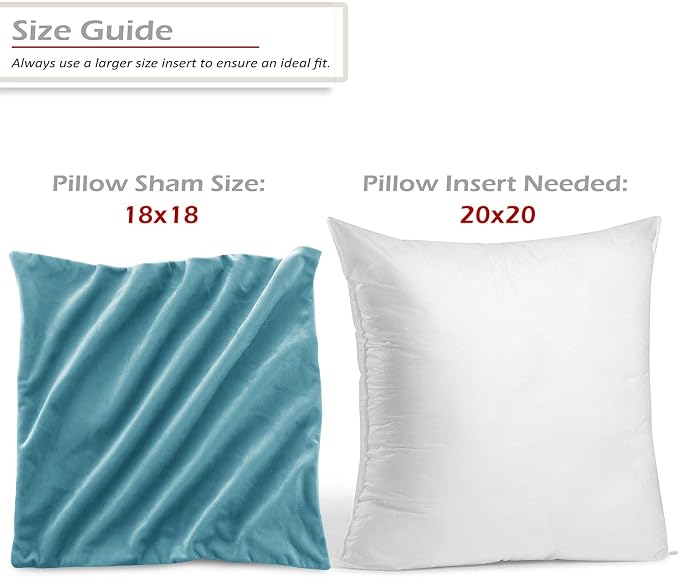 Throw Pillow Inserts Pack of 2 with Velvet Soft Solid Decorative Square Throw Pillow Covers Set for Sofa Couch Car Bedroom, 20X20 Throw Pillows Inserts with 18x18 Washable Cushion Covers, Beach Blue