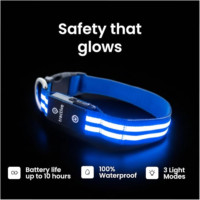 Tractive Smart Dog GPS Collar | Live Pet Tracker with Virtual Fence | Vital Signs Monitoring of Heart & Respiratory Rate | Bark Monitoring | LED Dog Collar (Blue, Large)