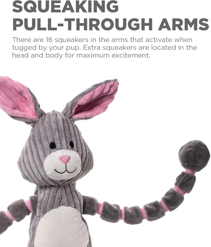 Outward Hound by Charming Pet Thunda Tugga Bunny Plush & Squeaky Dog Tug Toy