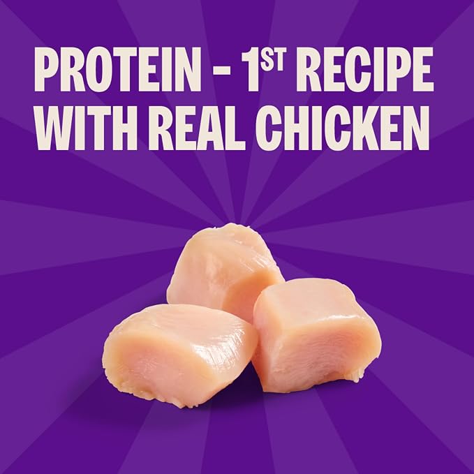 Wellness Crunchy Puppy Bites Dog Training Treats, Natural, Grain Free, Chicken and Carrot Recipe, 6 oz Bag
