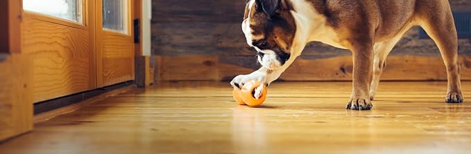 WEST PAW Qwizl Durable Zogoflex Dog Puzzle Toy for Mental Stimulation, and Enrichment - Treat Dispensing for Bully Sticks and Dental Sticks - Dishwasher Safe - Made in USA - Small - Tangerine