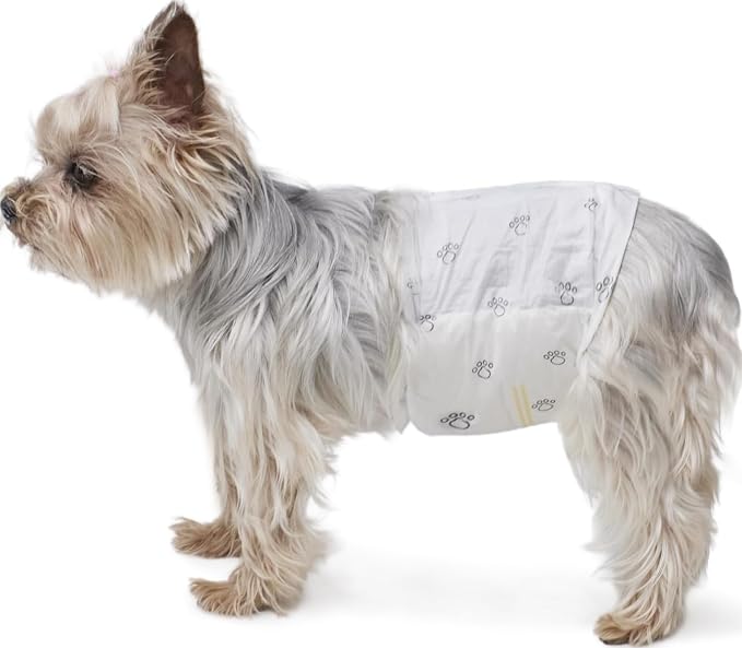 Amazon Basics Super Absorbent Male Dog Diapers, Leak-Proof Disposable Wrap with Wetness Indicator, Secure Fit, Breathable, X-Small, 30 Count