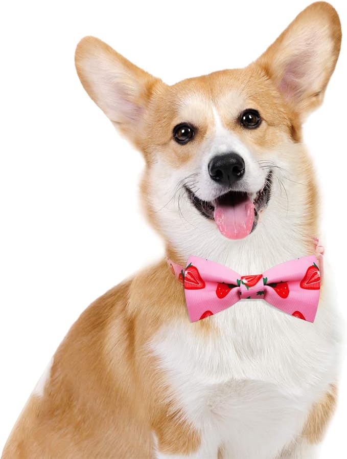 azuza Dog Collar Bow tie, Lovely Pink Dog Collars with Bowtie for Small Dogs