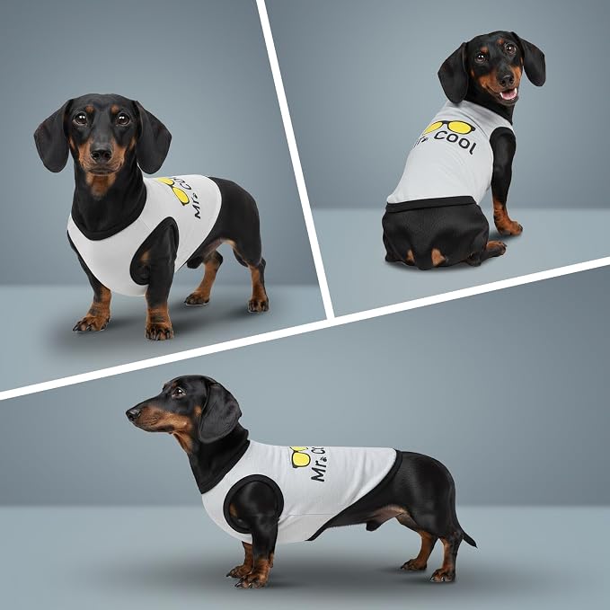 Dog Clothes for Small & Medium Dogs, Pet T-Shirts | 2 Pack Dog Shirt for Girl & Boy, Puppy Clothes, Tank Top for Summer & Winter (Cool 2XLarge)