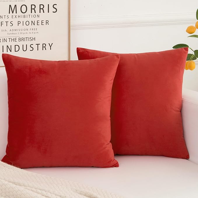 Velvet Decorative Throw Pillow Covers, Soft Square Cushion Case Home Decor for Living Room Couch Bed Sofa, Set of 2 Pack, Red, 20x20 Inch