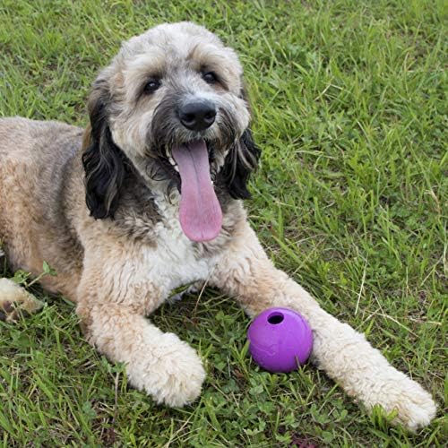 Chew King Fetch Balls Extremely Durable Natural Rubber Toy 4 inch, 2 Pack (CM-10031-CS01)