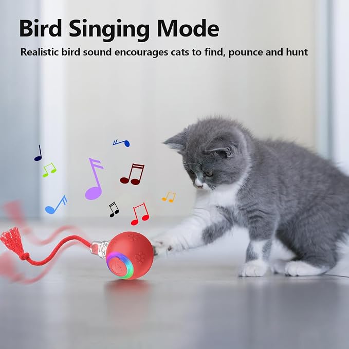 Speed 2.0 Tail Interactive Cat Toys, Rechargeable Ball for Indoor Cats