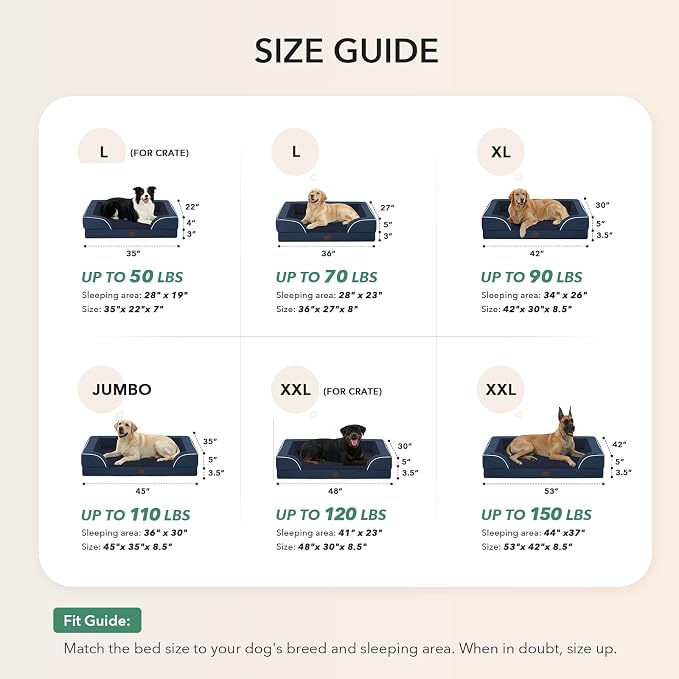 Orthopedic Washable Dog Bed for Medium Dogs, 35x22in, Navy Blue | Orthopedic Foam Eases Joint Pressure, Bolsters Supports Head And Neck, Washable Pet Beds, Removable Cover, Non-Slip Bottom