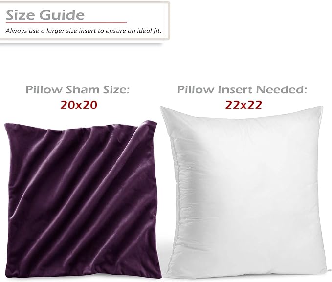 Throw Pillow Inserts Pack of 2 with Velvet Soft Solid Decorative Square Throw Pillow Covers Set for Sofa Couch Car Bedroom, 22X22 Throw Pillows Inserts with 20x20 Washable Cushion Covers, Dark Purple