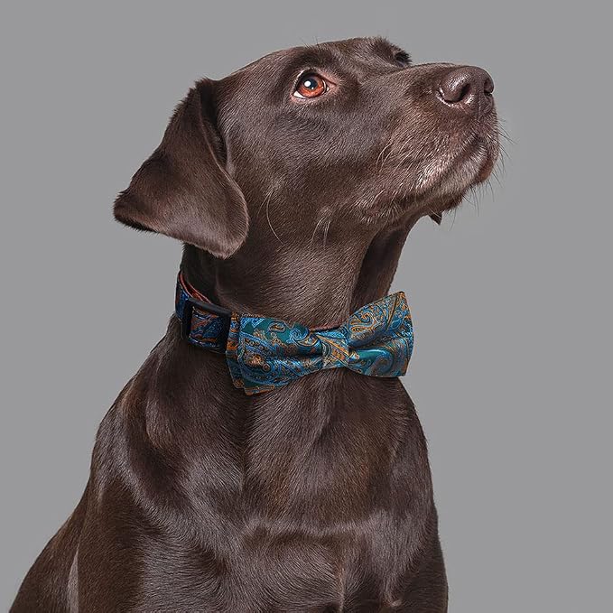 Dog Collar with Bow Tie for Girl or Boy Gift Soft Durable Bowtie Paisley Medium