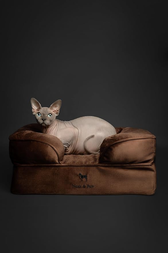 NOAH & PAW Small Dog Bed, 20x15x8 Inch, Cat Bed for Indoor Cats, Orthopedic Eggshell Memory Foam Infused with Cooling Gel, Water Resistant Inner Cover Machine Washable (Velvet Collection)