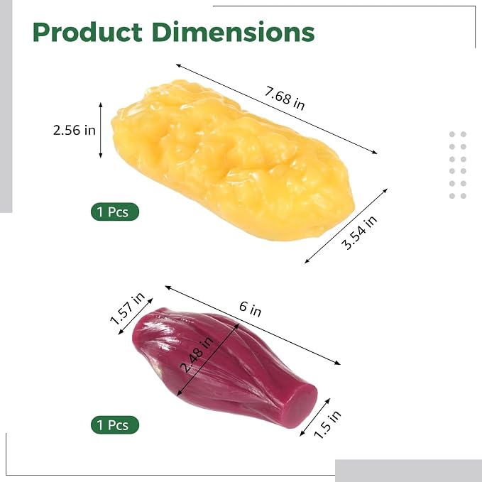 2 Pcs Human Muscle and Fat Anatomy Model Set, 1 lb Fat and 1 lb Muscle Replica, Realistic Anatomy Replica for Education, Fitness Motivation, Nutrition Analysis