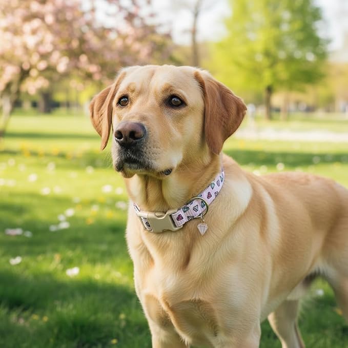 Striped Dog Collar, Girl Dog Collar with Diamond and Stripe Pattern, Adjustable Summer Cute Collar for Small Dogs, Great for Daily Walking, Outdoor Adventure & Photo Shoots, S