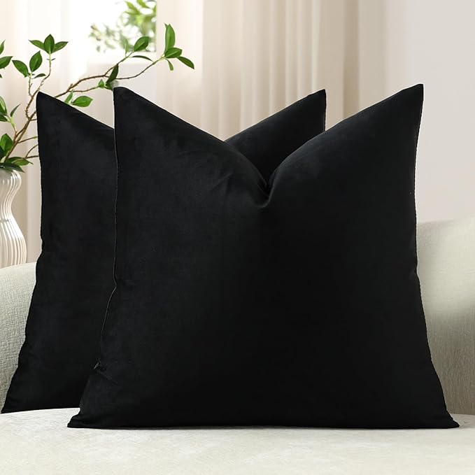 Throw Pillow Covers 18x18 Black: Pack of 2 Cozy Soft Velvet Square Modern Luxury Decorative Throw Pillow Cases for Sofa Couch Living Room Bed Home Decor