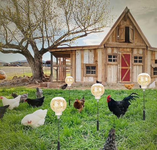 2Pcs Chicken Peck Toys, Chicken Enrichment Toys with Swing Feeder, Interactive Slow Feed Release Toy for Your Flock, Chick Treat Dispensers for Hens Poultry Duck Birds Parrots