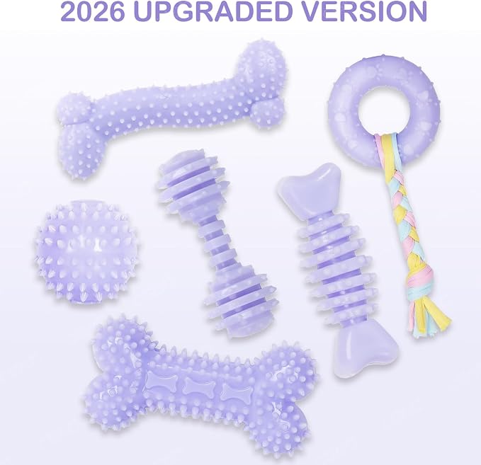 6 Pack Dog Chew Toys, Purple, Small Dog Teething Toys, Soft Durable Interactive Toys for Puppies