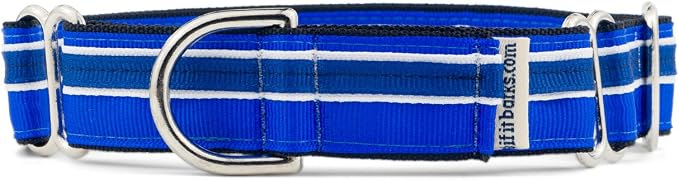 If It Barks 1" Martingale Collar for Dogs, Adjustable Nylon, USA Made,Blueberry,Small (11" - 15")