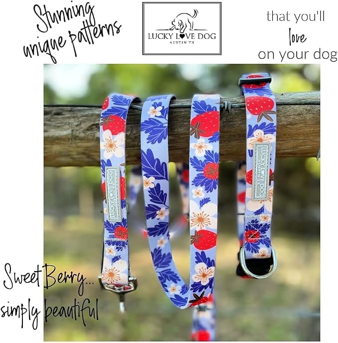 Lucky Love Dog Martingale Collar & Leash Set No Slip – Sweet Berry, Medium