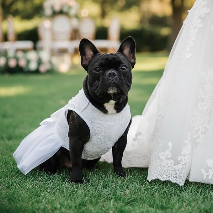 ASENKU Dog Dress Pet Wedding Dress Puppy Birthday Party Outfit, White XS | Dog Flower Girl Dress With Leash Hole, Princess Puppy Dress For Weddings, Daily Wear, Fits Small Medium Large Dogs Cats