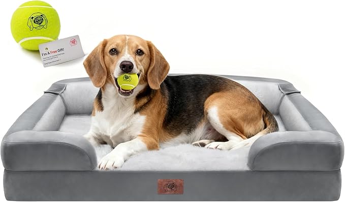 Waterproof Orthopedic Dog Bed for Medium Large Sized Dogs | Memory Foam Pet Bed Sofa with Bolster, Dog Couch with Washable Cover & Non-Slip Bottom, 36x27 Inch, Light Grey