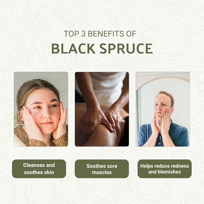 Black Spruce Essential Oil from Canada - Pure Essential Oils for Diffuser, Humidifier, or Aromatherapy- Fresh & Forest-Like | Pure Therapeutic Grade (2LBS)