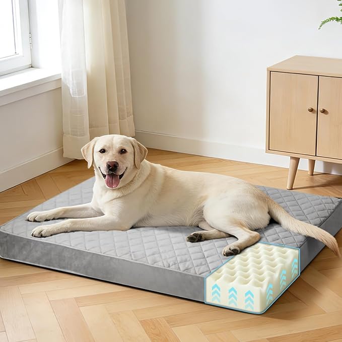 NUPIDA Orthopedic Dog Beds for Extra Large with Washable Cover, 44x32, Grey | Egg-Crate Foam, Cozy Velvet Pet Mattress, TPU Waterproof Layer, Comfy Support, Anti-Slip Base Extra Large Breeds up to 90lbs