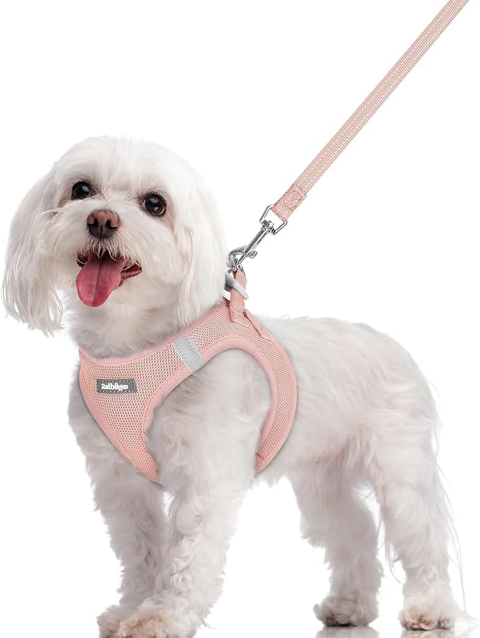rabbitgoo Dog Harness Small Sized and Leash Set, Step-in Puppy Pet Vest | Light, Soft, Breathable Air Mesh, Easy on and Remove with Hook & Loop, Secure Reflective for Walking, Pink M