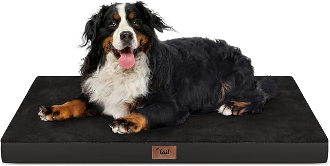 Outdoor Extra Large Dog Bed XXL for Giant Breed Dogs | Egg Crate Orthopedic Foam, Fits 48x30 Crates, TPU Waterproof Layer, Machine Washable 1680D Oxford Cover, Up to 110 lbs