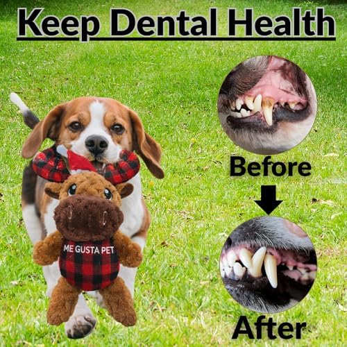 Plush Dog Toy - Dog Stuffed Animal Toy, Puppy Toys, Squeaky Dog Toy for Small, Medium & Large Dogs, Durable Plush to Keep Them Busy Morris Moose (Christmas)
