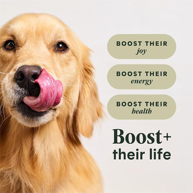 Instinct RawBoost, Dry Dog Food + Freeze Dried, Real Chicken, 10 lb. Bag | High-protein kibble with FreshDried raw bites, cage-free chicken, grain-free recipe, 6-in-1 health benefits